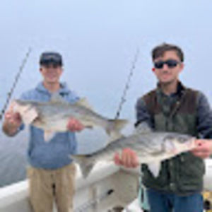 Meet your Posher, Boyd